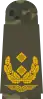 Generalmajor  (بدلة الحقل)