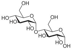 α-Maltose