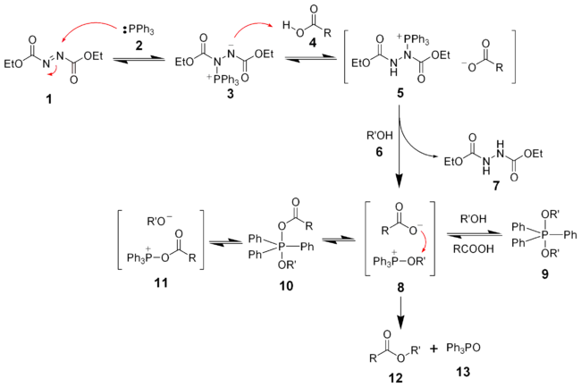 The mechanism of the Mitsunobu reaction