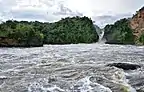 Wide-angle view of Murchison Falls from downstream