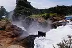 Murchison Falls from above