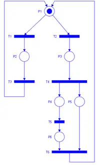 مثال عن شبكات بتري.