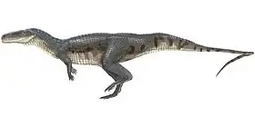 Poposaurus gracilis