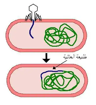 تعليق