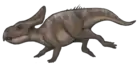 Protoceratops andrewsi