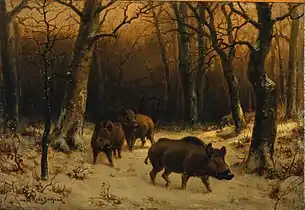 Sangliers dans la neige, or  خنزير بري في الثلج Wild boars in the snow.