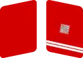 SA Gorget patch