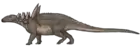 Sauropelta edwardsorum