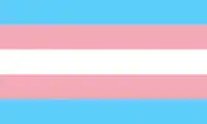 Transgender pride flag