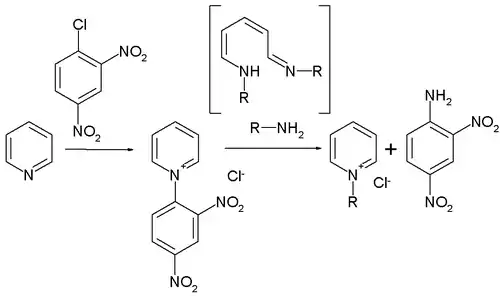 The Zincke reaction