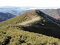 Sierra d'Ancares (provincia de Lugo)