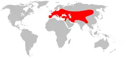 Mapa de distribución mundial de M. foina