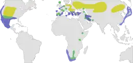 Distribución del zampullín cuellinegro.