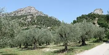 Paysage de la Drôme provençale.