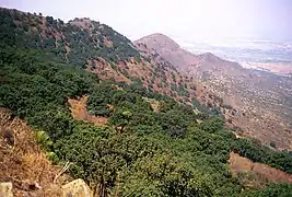 Sierra de Tezontlalpan.