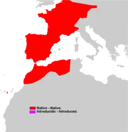 Distribución de Crocidura russula.