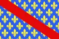 Bandera de Allier