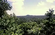 Una vista sobre una selva trupa con árboles con árboles enmarcando los llaos esquierdu y derechu. La selva estender hasta l'horizonte, onde un cuetu cubiertu de monte ruempe la llanura. Escases nubes tán esvalixaes nun cielu pálidu.