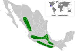 Distribución de C. rubra