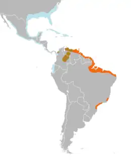      distribución del corocoro coloráu