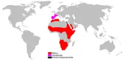 Mapa de distribución de Genetta genetta. Coloráu: Autóctona. Rosa: Introducida. Negru: Introducida y estinguida.