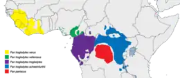 Distribución del chimpancé