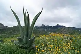 Valle de Actopan nel Valle del Mezquital.