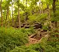 El parque d'Inwood Hill conserva los caberos restos de la viesca que cubriera Manhattan. Les cueves qu'apaecen na semeya foron usaes polos nativos d'etnia Lenape que vivíen nella primero de la llegada los europeos.