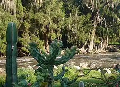 Ríu Tula en Mixquiahuala de Juárez.