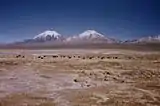 Parque Nacional Sajama