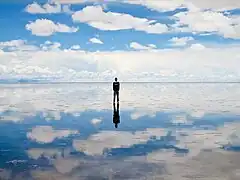 Reflexos