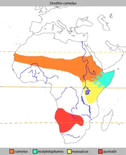 Distribución de l'avestruz