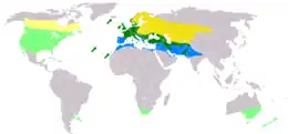 Nativu: mariellu, zones de cría estival; verde escuru, zona de residencia; azul, zones d'ivernada.Introducíu: mariellu claru, zones de cría estival; verde claru, zones de residencia.