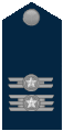 Insinia de Teniente Coronel de la Fuercia Aérea Brasilana.