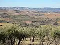 Vista del términu dende la base del Cuetu del Castillo, direición norte, escontra Olmedilla.