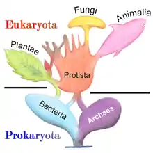 Árbol de la vida simplificáu