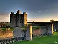 Trim Castle, condáu de Meath