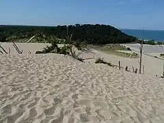 Warren Dunes State Park.