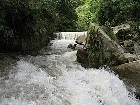 La Florida kuksa koe Rioblanco