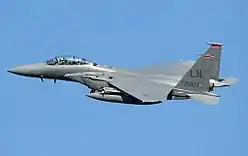 ABŞ Hərbi Hava Qüvvələrinin 494-cü döyüş eskadrilyasına məxsus F-15E