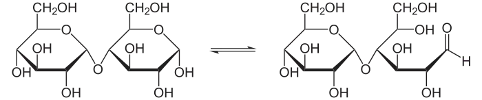 Баланс между циклической и открытой формой мальтозы