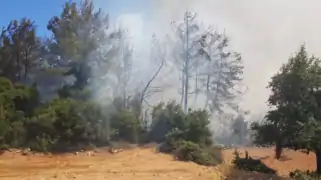 Milasda yanğından qaynaqlanan tüstü