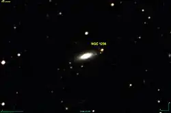 NGC 1256 (DSS)