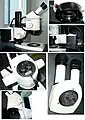 Stereo-microscope