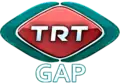 TRT gap-ın 2009-2014 arası istifadə edilən loqo