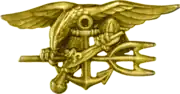 Navy Special Warfare Trident insignia worn by qualified U.S. Navy SEALs