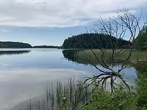 озера Крывое з боку в. Горы 2