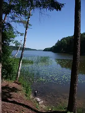 Паўднёвы край возера