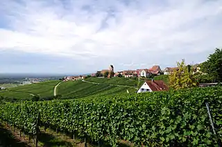 Ötlingen vom Tüllinger Berg aus