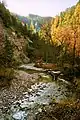 Der Ötscherbach im Herbst, nahe Talschluss des Ötschergrabens